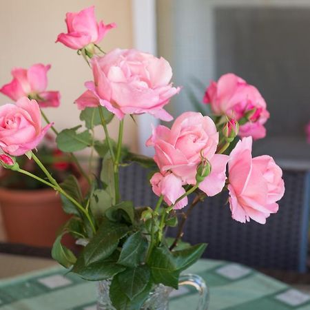 Apartment Timea ドゥブロブニク エクステリア 写真